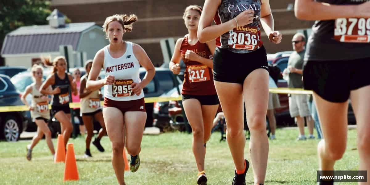 知道bsports必一运动